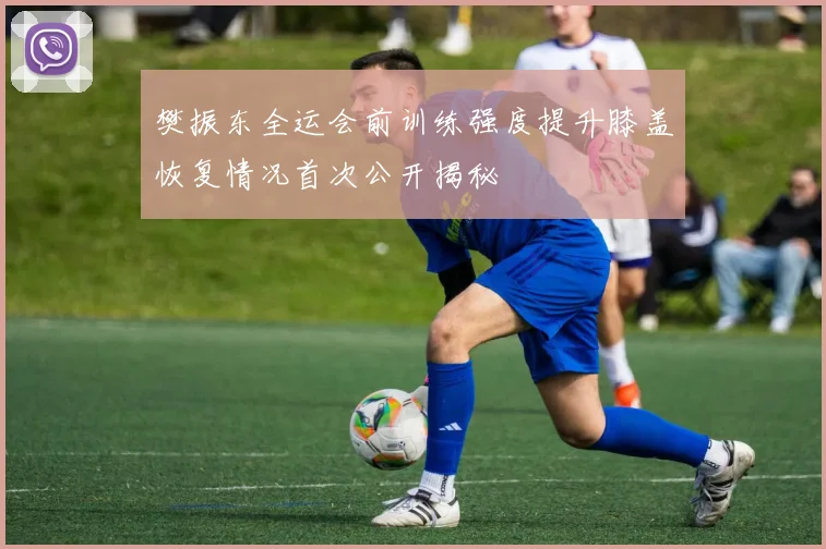 樊振东全运会前训练强度提升膝盖恢复情况首次公开揭秘